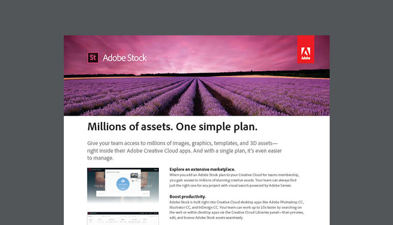 Article Millions of Assets One Simple Plan Image