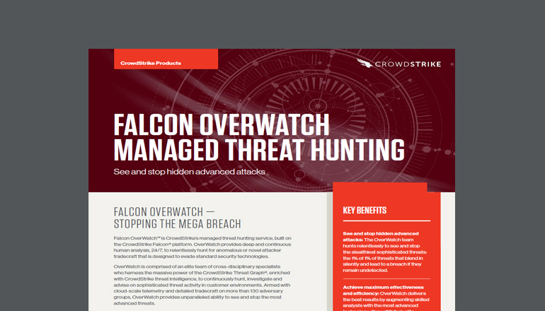 Article Falcon Overwatch Managed Threat Hunting  Image