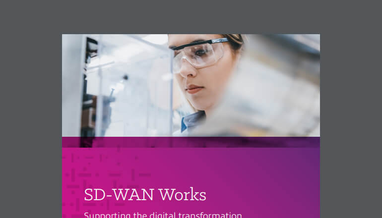 Article SD-WAN Works Image