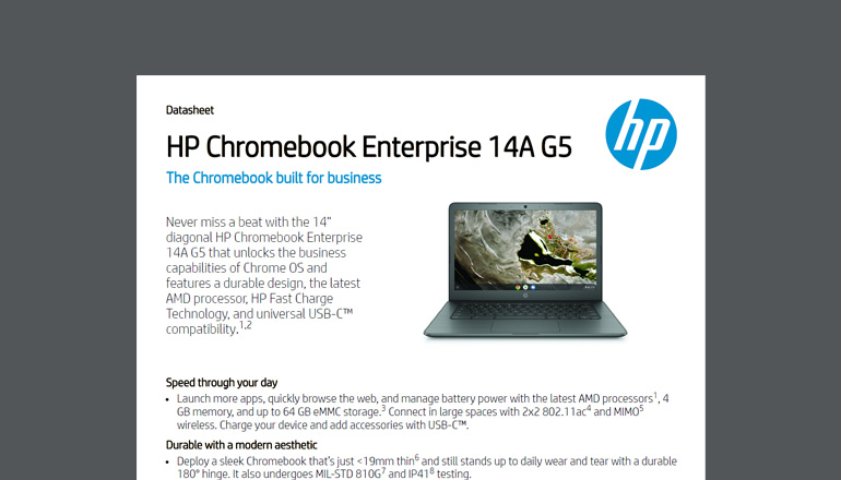 Article The Chromebook Built for Business Image