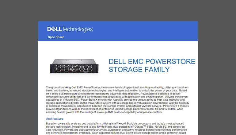 Article Dell EMC PowerProtect Cyber Recovery Image