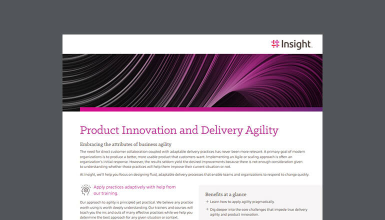 Article Product Innovation and Delivery Agility Image