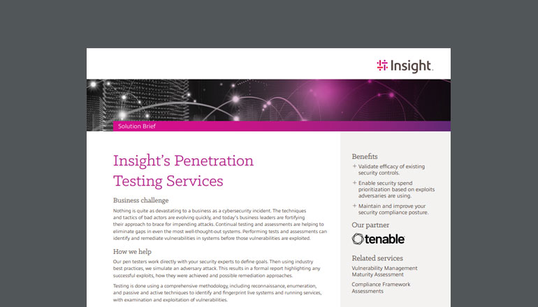 Article Insight’s Penetration Testing Services  Image