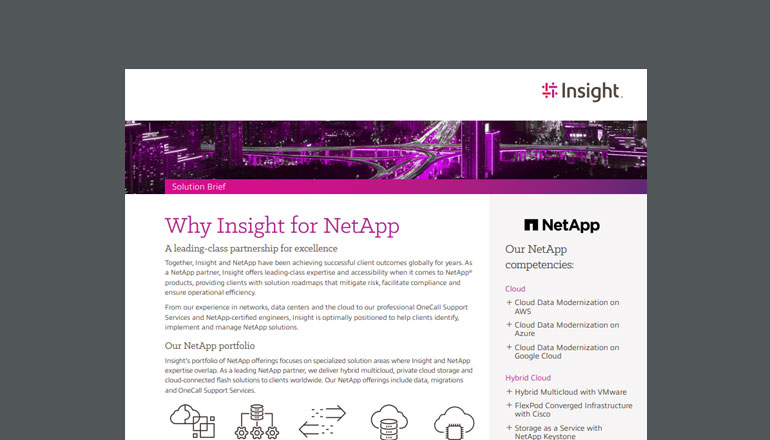 Article Why Insight for NetApp Image