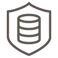 Data secure icon