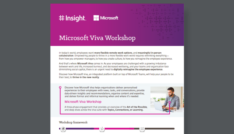 Microsoft Viva Insights Workshop