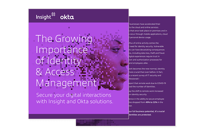 The Growing Importance of Identity & Access Management Thumbnail of ebook available by registering to download