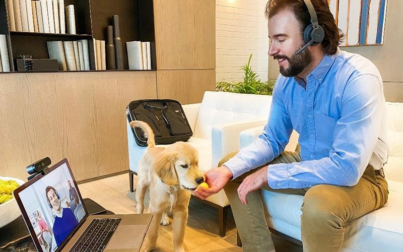 logitech-wfh-man-on-couch-with-dog